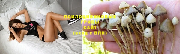 марки lsd Балабаново